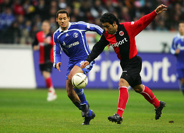 就是他们实 就是他们实