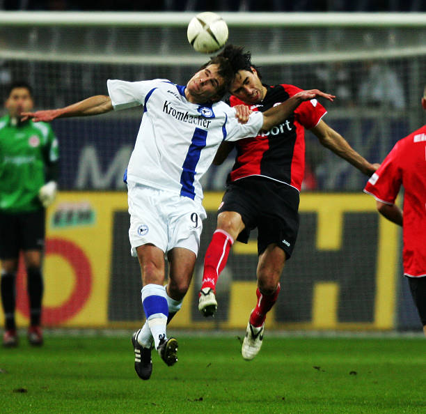 不仅能获得 不仅能获得